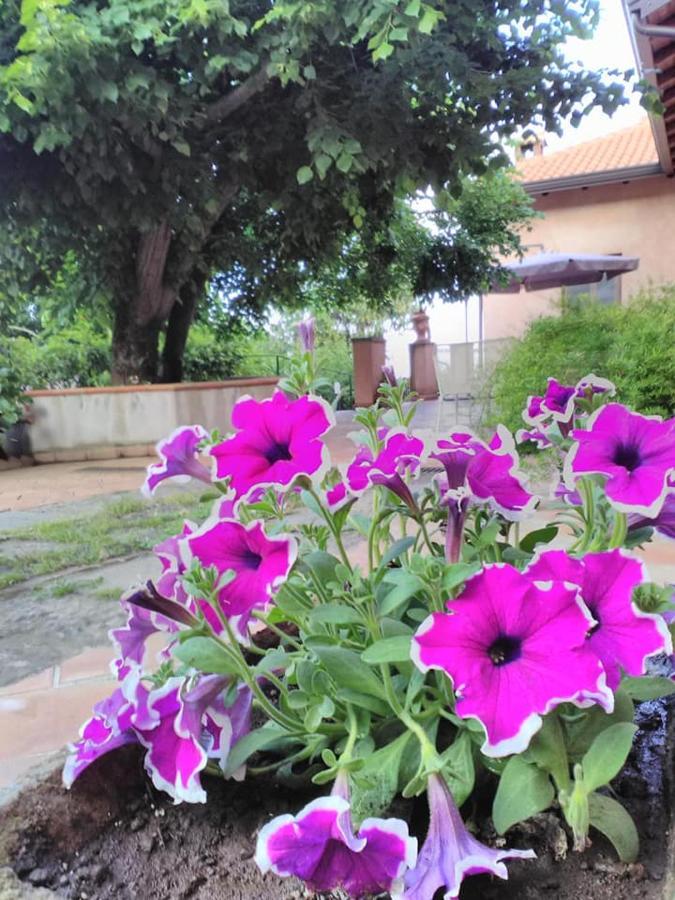 La Corte Di Bafe B&B "Slow Life" ザッフェラーナ・エトネーア エクステリア 写真